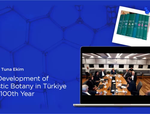 The Establishment and Development of Floristic Botany in Türkiye