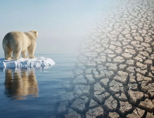 Küresel Isınma ve Su Sorunu